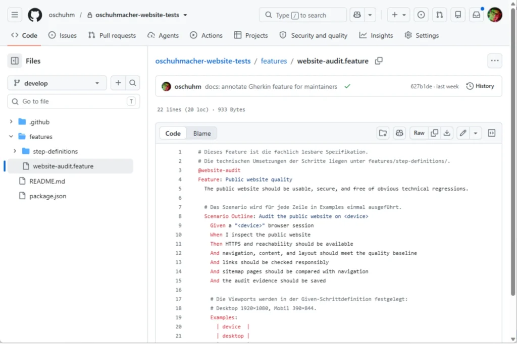 GitHub-Ansicht der Feature-Spezifikation für den Website-Audit